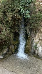 En Gedi waterfall