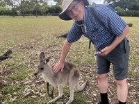 kangaroo